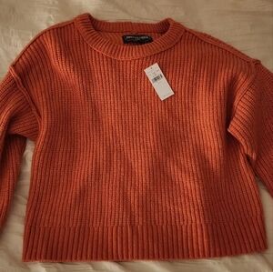 American Eagle Fall Sweater